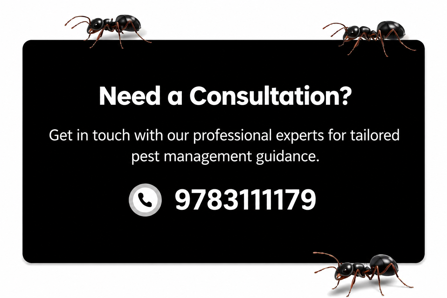 Pest Control